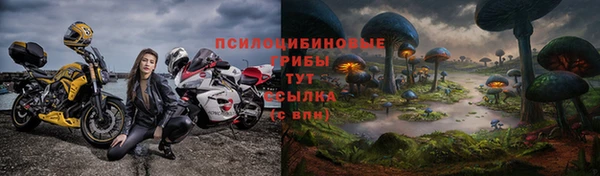 дживик Покров