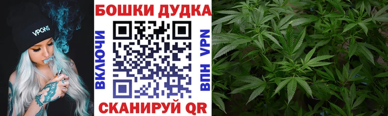Бошки Шишки Amnesia  Светлогорск 